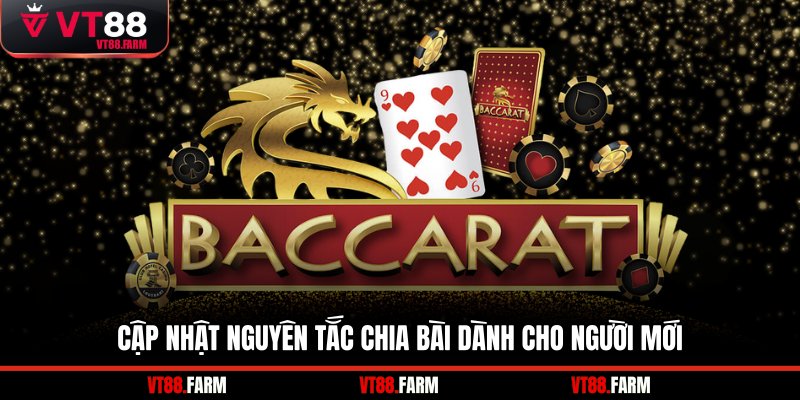 Cập nhật nguyên tắc chia bài dành cho người mới