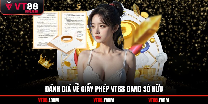 Đánh giá về giấy phép VT88 đang sở hữu